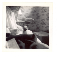 [Gabriela Mistral en Nueva York]  [fotografía].