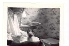 [Gabriela Mistral en Nueva York]  [fotografía].