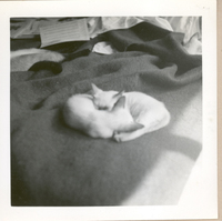 [Gabriela Mistral en Nueva York]  [fotografía].