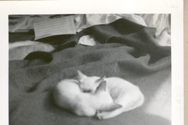 [Gabriela Mistral en Nueva York]  [fotografía].