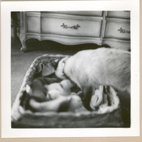 [Gabriela Mistral en Nueva York]  [fotografía].