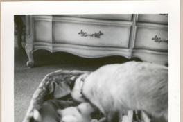 [Gabriela Mistral en Nueva York]  [fotografía].