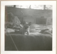 [Gabriela Mistral en Nueva York]  [fotografía].