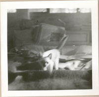 [Gabriela Mistral en Nueva York]  [fotografía].