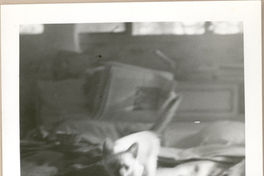 [Gabriela Mistral en Nueva York]  [fotografía].