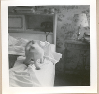 [Gabriela Mistral en Nueva York]  [fotografía].