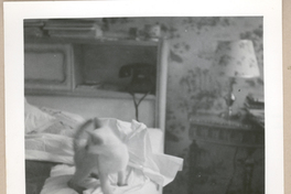 [Gabriela Mistral en Nueva York]  [fotografía].