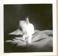 [Gabriela Mistral en Nueva York]  [fotografía].