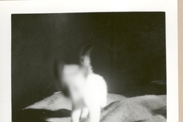 [Gabriela Mistral en Nueva York]  [fotografía].