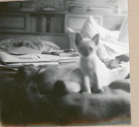 [Gabriela Mistral en Nueva York]  [fotografía].