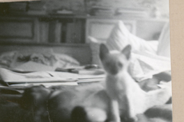 [Gabriela Mistral en Nueva York]  [fotografía].