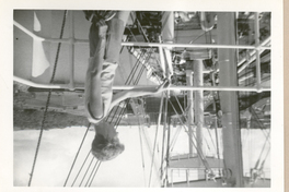 [Doris Dana a bordo del Santa Isabel]  [fotografía].