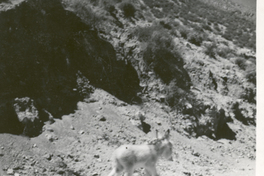 [Vista del pueblo de Montegrande]  [fotografía].