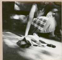 [Casa de Gabriela Mistral en Nueva York]  [fotografía].