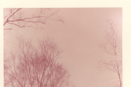 [Gabriela Mistral junto a un amigo en New York]  [fotografía].