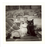 [Gabriela Mistral en Nueva York]  [fotografía].