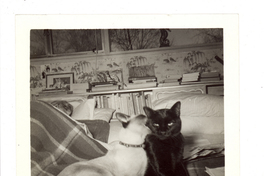 [Gabriela Mistral en Nueva York]  [fotografía].