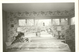 [Doris Dana y un gato en New York]  [fotografía].