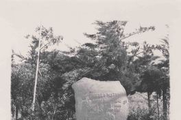 [Tumba de Gabriela Mistral]  [fotografía].