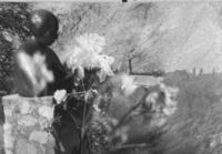 [Busto de Gabriela Mistral]  [fotografía].