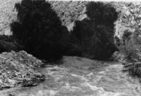 [Río Elqui]  [fotografía].