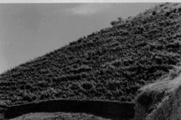 [Paisaje de Montegrande]  [fotografía].