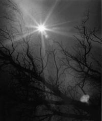 [Contraluz]  [fotografía] Antonio Larrea.