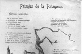 [Poema "Árbol muerto"]  [fotografía].