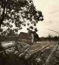 Paisaje rural en México.  [fotografía].