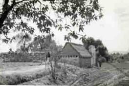 Paisaje rural en México  [fotografía].