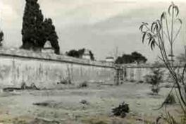 Vista de unas ruinas en México  [fotografía].