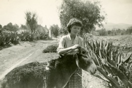 Doris Dana acariciando un burro en México.  [fotografía].