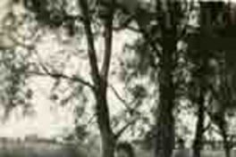 Doris Dana en México.  [fotografía].