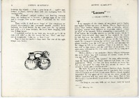 Lucero by Oscar Castro Z.