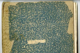 Mi voz  [manuscrito] Juan Guzmán Cruchaga.