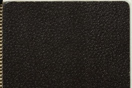 [Cuaderno de filosofía y poesía]  [manuscrito] Matilde Ladrón de Guevara.