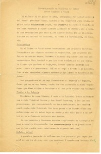 Investigación en Valdivia de Paine sobre tejidos a telar  [manuscrito] Oreste Plath.