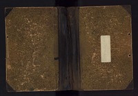 Libro sesto Maria Antonia Palacios.