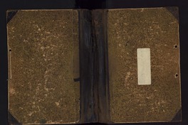 Libro sesto Maria Antonia Palacios.