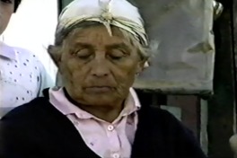 Wingkakimün pu mapuche mew Escuela y mundo mapuche