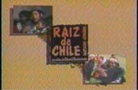 Raíz de Chile : Mapuche Aymara