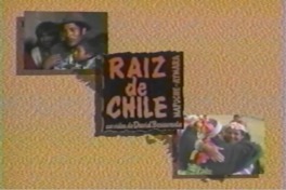 Raíz de Chile : Mapuche Aymara