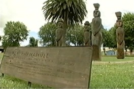 [Identidad de la cultura mapuche]