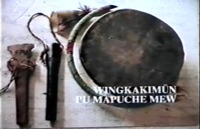 VII Encuentro Nacional de la Culturas y Pueblos Indígenas de Chile