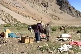 Trashumantes huellas de vida y viajes