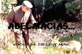 Abel Macías... voces de cielo y mar