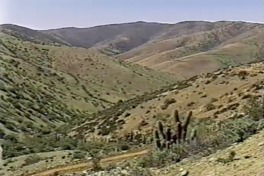 Lectura de poesía Tristan Altagracia