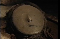 Chinchorro las momias más antiguas del mundo = Chinchorro : the world's oldest mummies