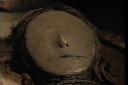 Chinchorro las momias más antiguas del mundo = Chinchorro : the world's oldest mummies