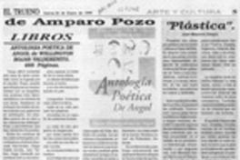 Antología poética de Angol de Wellington Rojas Valdebenito